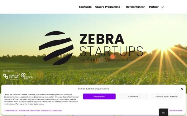zebra-startups.de