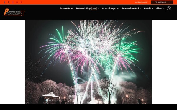 www.pyrotechnix.de