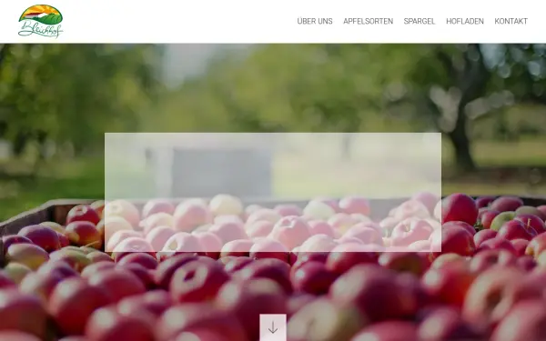 apfel-feil.de