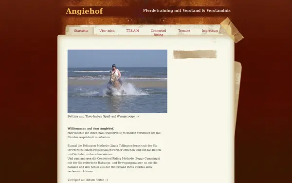angiehof.de
