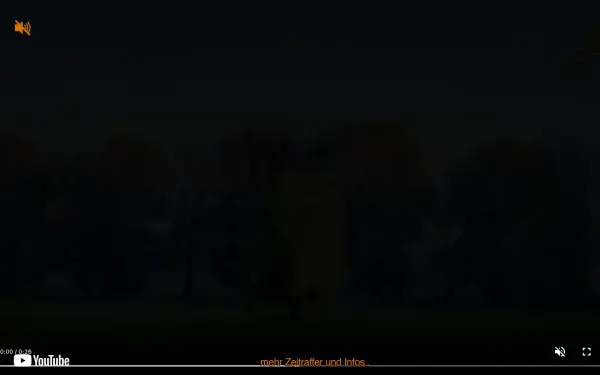goggi.de