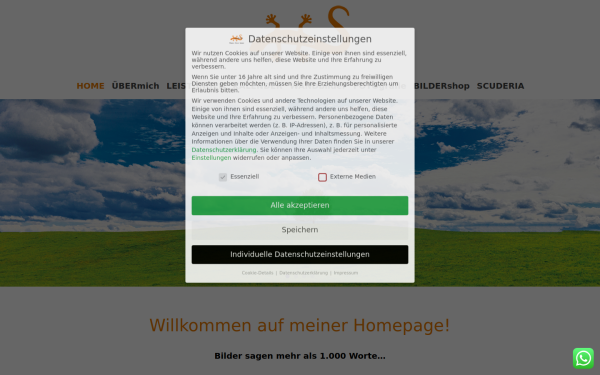 medienkrizzler.de