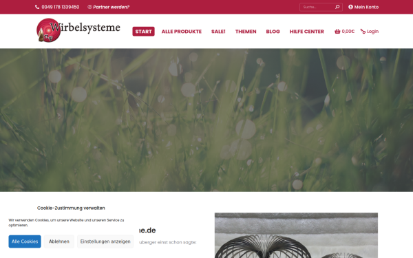 wirbelsysteme.de