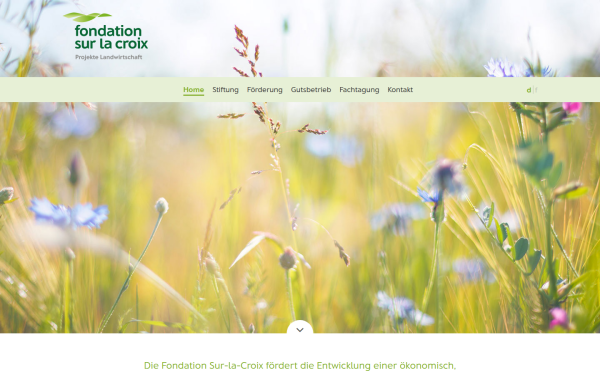 www.fondation-sur-la-croix.ch