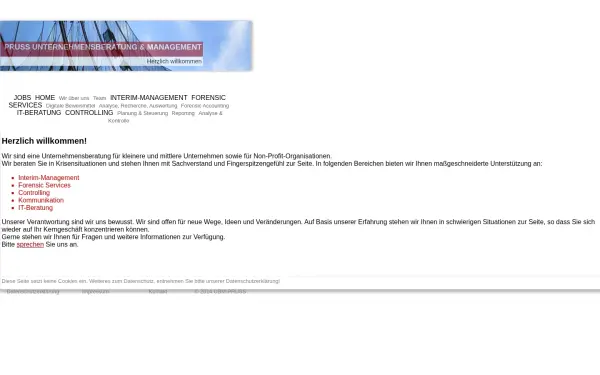 pruss-unternehmensberatung.de