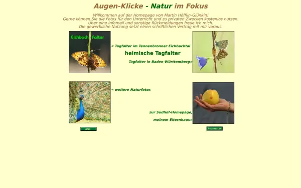 gluenkin.de