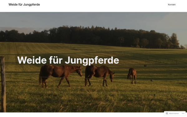 weidefuerjungpferde.com