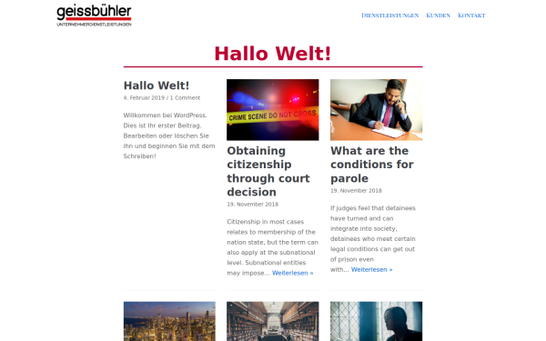 geissbuehler.biz