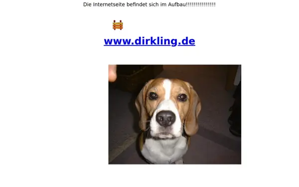 dirkling.de