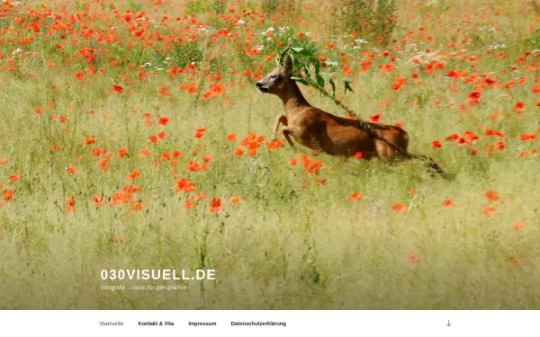 030visuell.de