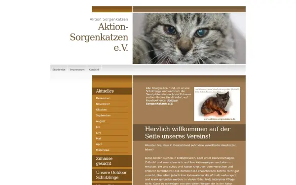 aktion-sorgenkatzen.de