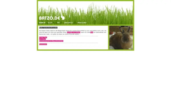 batzo.de