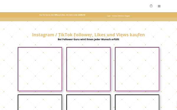 follower-guru.de