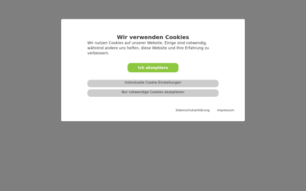 www.malerei-davidbauer.at