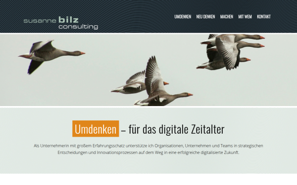 bilzconsulting.com