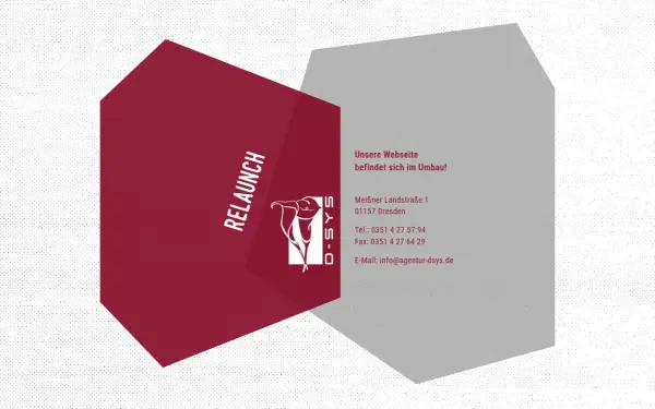 agentur-dsys.de
