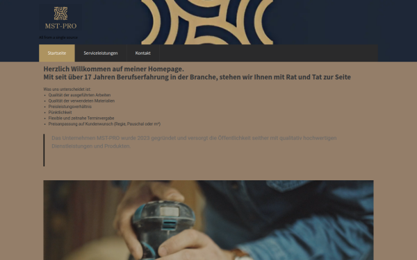mst-pro.de