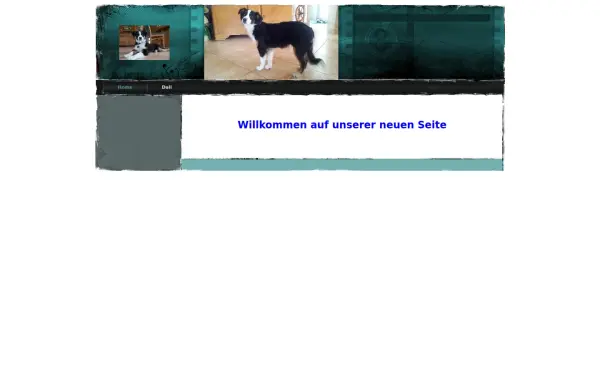 m-zwipp.de