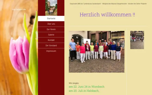 liederkranzsackenbach.de