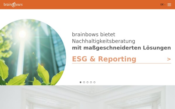 www.brainbows.com