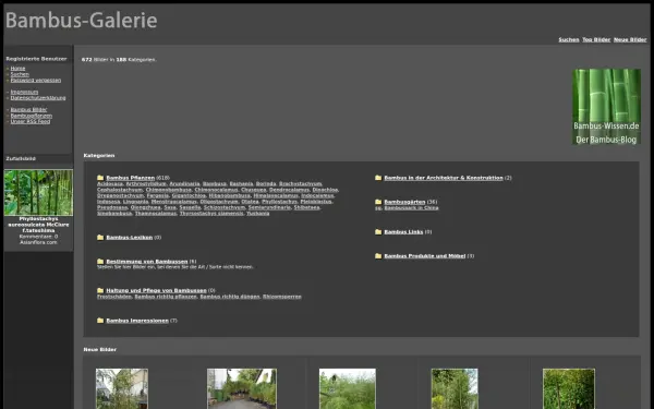 bambus-galerie.de