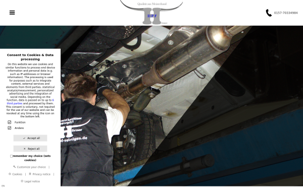 www.dpf-reinigen.de