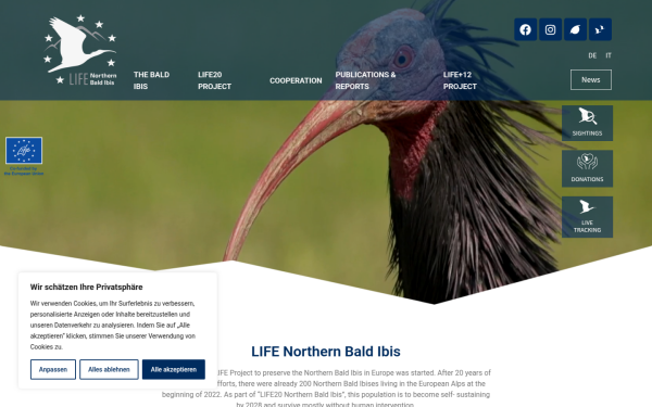 www.waldrapp.eu