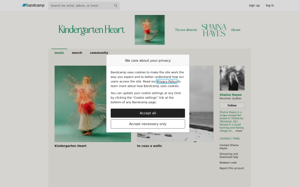 shainahayes.bandcamp.com