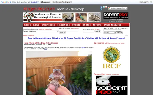 www.kingsnake.com