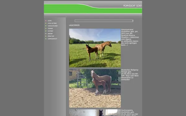 goes-ponies.de