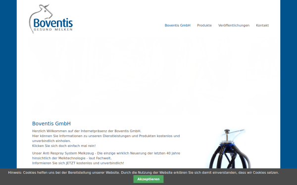 boventis.de