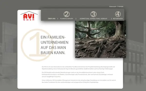avi-gmbh.de