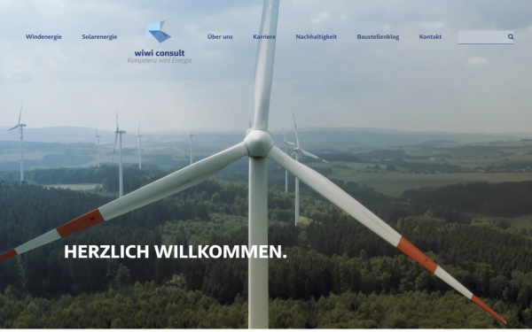 wiwiconsult.de