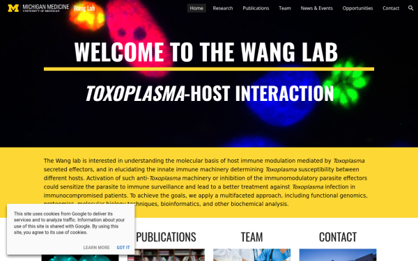 yifan-wang.lab.medicine.umich.edu