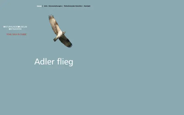 adler-flieg.de