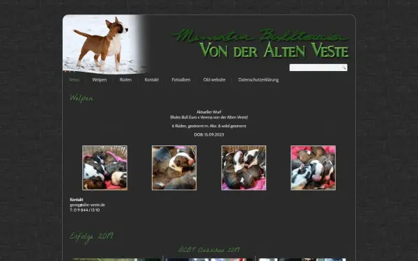 miniaturbullterrier.alte-veste.net