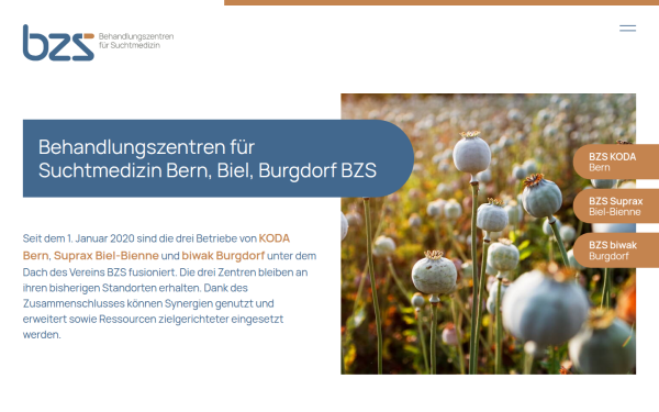 www.bzs-be.ch