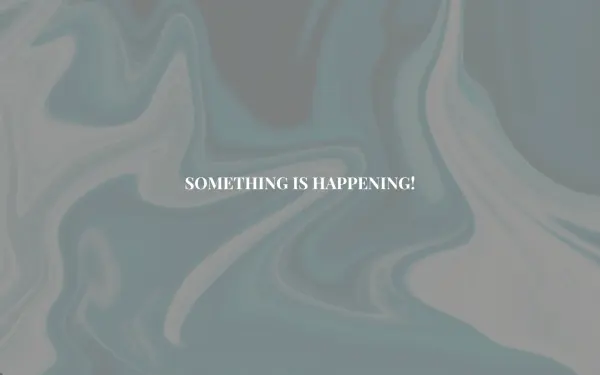 www.taurus-concept.de