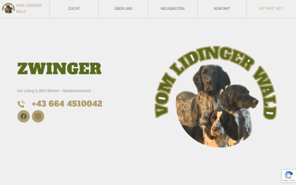www.vomlidingerwald.at