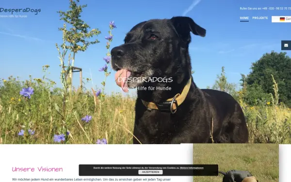 desperadogs.org