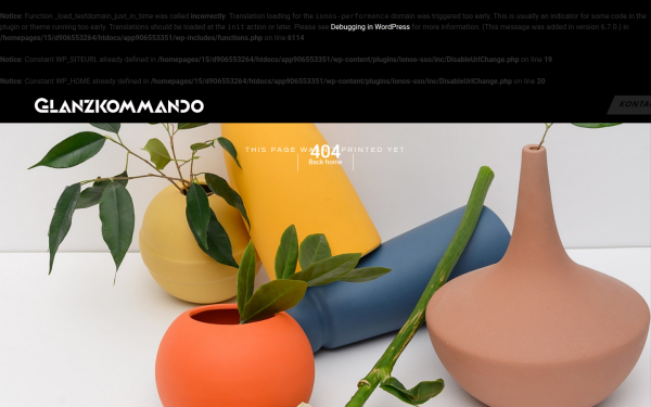 glanzkommando.at