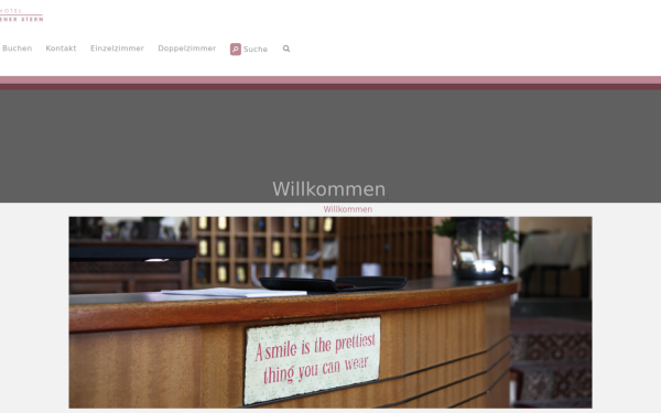 www.hotel-goldenerstern.de