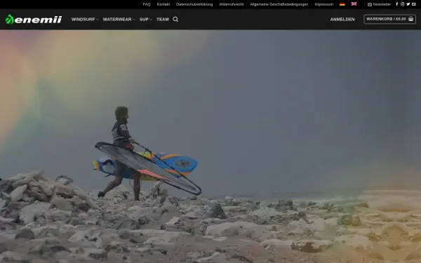 enemii.com