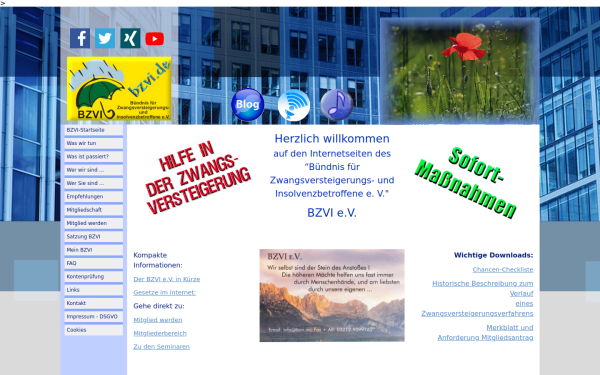 bzvi.de