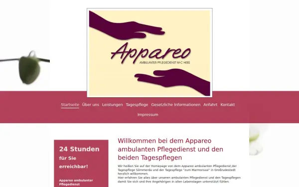 www.appareo-pflegedienst.de