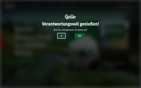 www.goesser.at