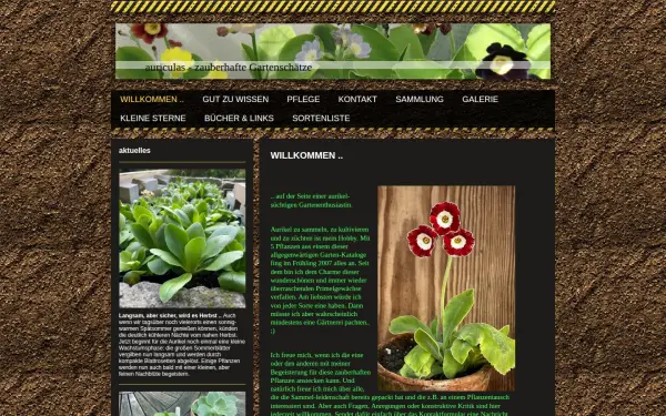www.aurikel-zauber.de