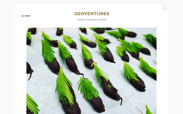 www.geoventures.de
