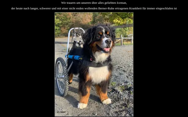 aegidienberner.de