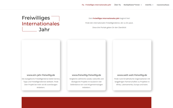 www.freiwilliges-internationales-jahr.de